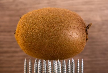 Kivi evrensel gümüş renkli vida üçgen üzerinde yukarı doğru işaret