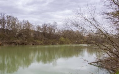 İlkbaharda parkta Nehir, genç çimen ler ve çiçekler, kuru dallar