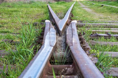 Eski demiryolu paslı, ilkbaharda bir sürü ot var. Çatal
