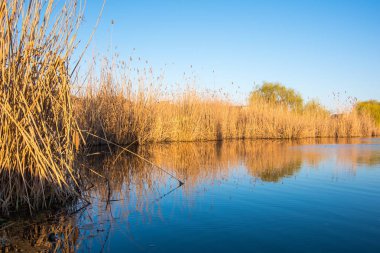 Bahar, birçok Sazlık Nehri gündoğumu