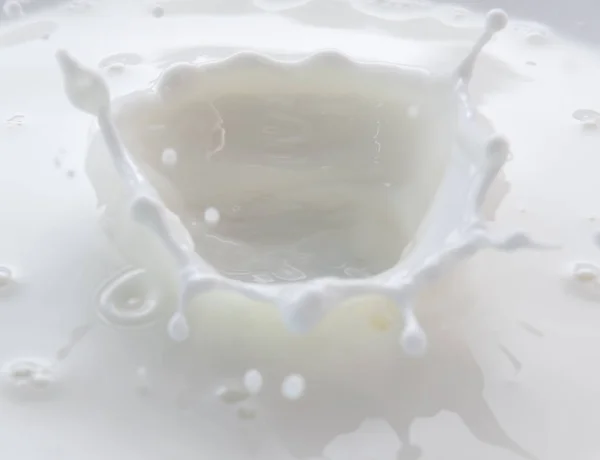 Sıçrama Bir Taç Gibi Düşen Süt Sıçraması — Stok fotoğraf