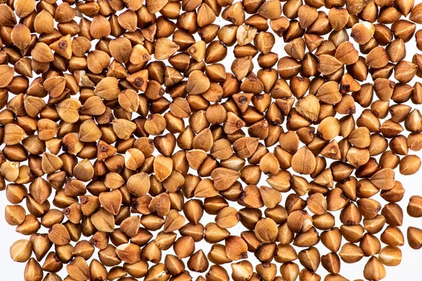 Buckwheat Brown Seeds White Background — Stock Photo, Image