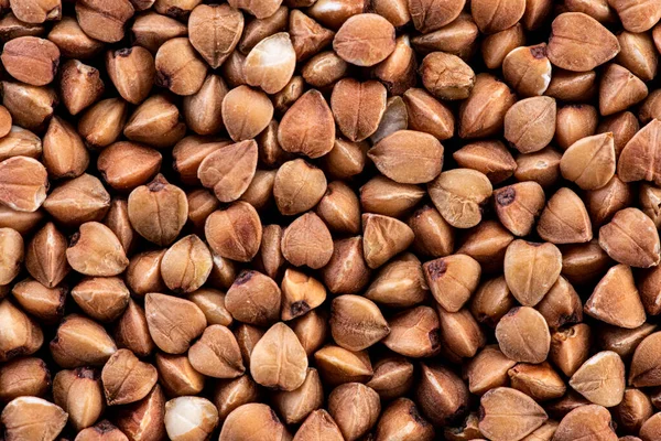 Buckwheat Brown Seeds White Background — Stock Photo, Image