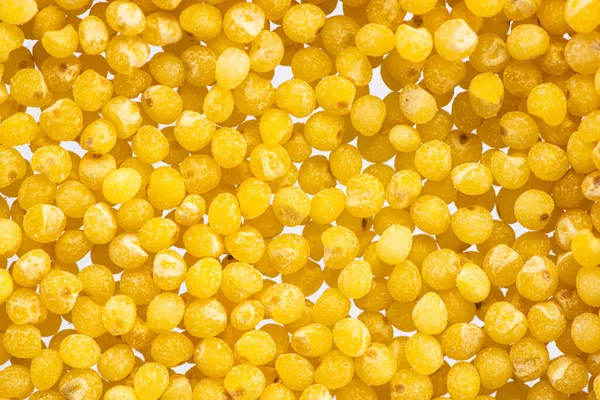 Millet round yellow seeds on a white background — Stock Image Millet Yellow Seeds White Background Royalty Free Stock Images