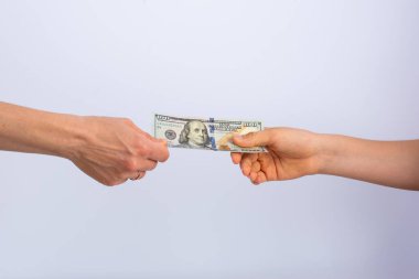 Hizmet ya da satın alma ücreti olarak 100 dolar vermek.