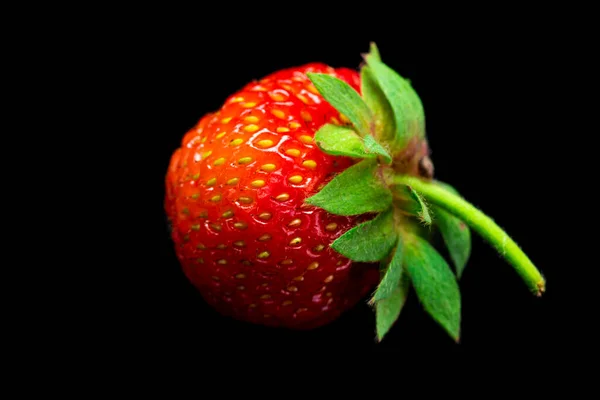 Frische Rote Erdbeeren Isoliert Auf Schwarzem Hintergrund Frisch Aus Dem — Stockfoto