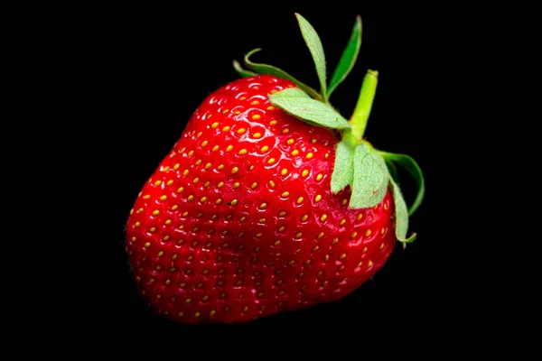 Frische Rote Erdbeeren Isoliert Auf Schwarzem Hintergrund Frisch Aus Dem — Stockfoto