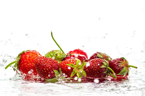 Frische Rote Erdbeeren Isoliert Auf Weißem Hintergrund Gischt Und Wasserstrahl — Stockfoto