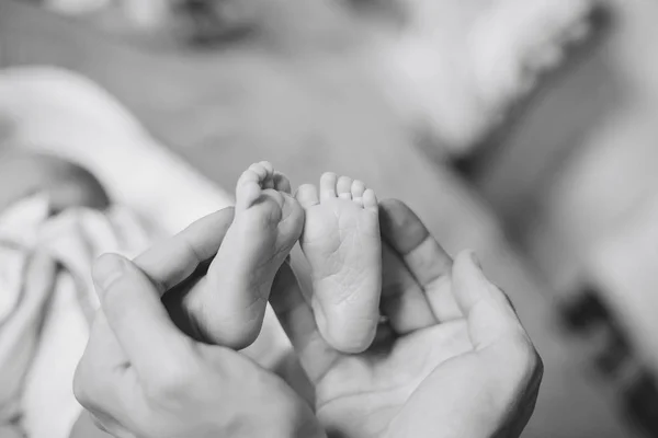 Bebe ayak babalar ellerinde. Aile ve annelik kavramı. 