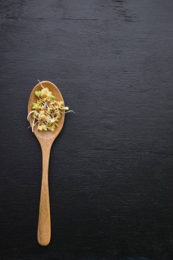 tohum lahanası ve baklagiller sağlıklı beslenme