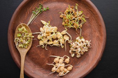 tohum lahanası ve baklagiller sağlıklı beslenme