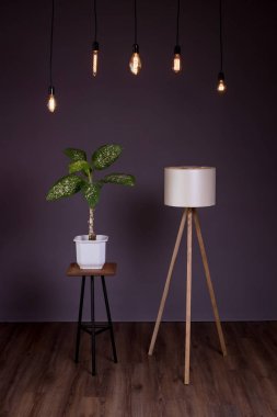 Armatür loft ve yeşil çiçek. Edison