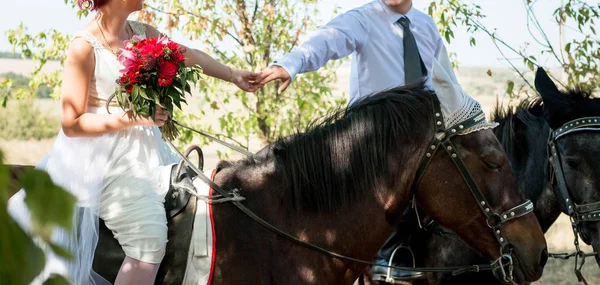 Beijo do noivo e da noiva estão montando em um cavalo marrom pelo parque — Fotografia de Stock