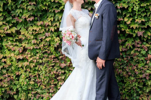 La novia y el novio están cerca de la pared verde —  Fotos de Stock