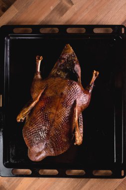 Güzel yemek: fırında bütün ördek yakın çekim masada bir tepside.