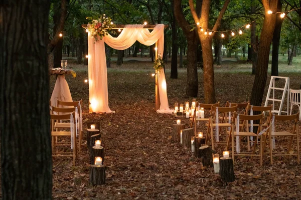 Bröllopsbåge Skogen Med Glödlampor Vackert Bröllop Rustik Skogen Sittplatser För — Stockfoto