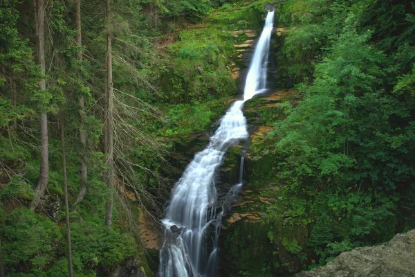 Vattenfall Skogen — Stockfoto