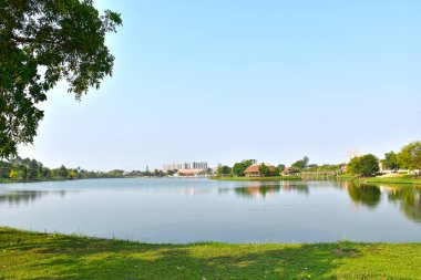 Genel arka plan şehir parkında güzel göl arasındadır. Reflaxtion ve su ağaçlarının vardır.