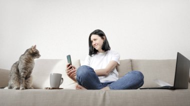 Evden çalışma kavramı, genç bir kadının dikkati, gri kedisini akıllı telefondan çekmek için dağılmıştı.. 