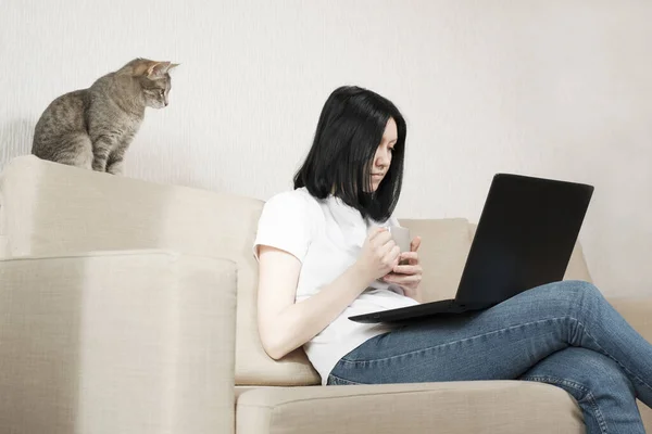 Het meisje gebruikt een laptop voor werk op afstand. Een grijze kat zit op de bank en volgt zorgvuldig het werk van de freelancer. — Stockfoto