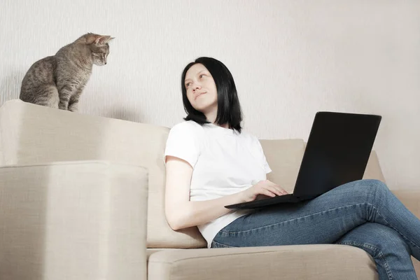 La fille utilise un ordinateur portable pour le travail à distance. Un chat gris est assis sur le canapé et surveille attentivement le travail du pigiste . — Photo