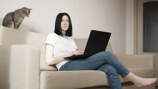La fille utilise un ordinateur portable pour le travail à distance. Un chat gris est assis sur le canapé et surveille attentivement le travail du pigiste . — Photo