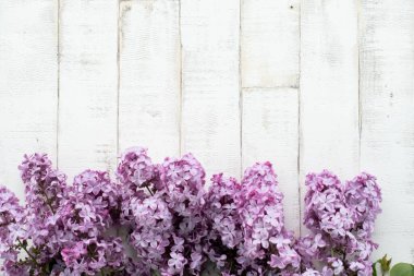 Açık arkaplanda bir ağacı taklit eden parlak, mor bir leylak. Ahşap zemin, dallar ve arka planda duran leylak çiçekleri. Dekor için fotofon