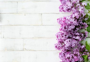 Açık arkaplanda bir ağacı taklit eden parlak, mor bir leylak. Ahşap zemin, dallar ve arka planda duran leylak çiçekleri. Dekor için fotofon