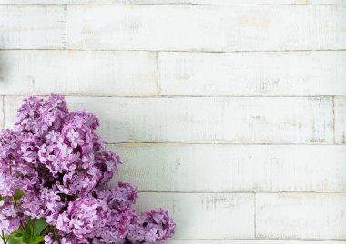 Açık arkaplanda bir ağacı taklit eden parlak, mor bir leylak. Ahşap zemin, dallar ve arka planda duran leylak çiçekleri. Dekor için fotofon