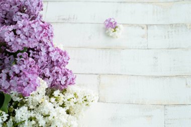 Açık arkaplandaki parlak mor ve beyaz leylak bir ağacı taklit ediyor. Ahşap zemin, dallar ve arka planda duran leylak çiçekleri. Dekor için fotofon