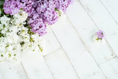 Açık arkaplandaki parlak mor ve beyaz leylak bir ağacı taklit ediyor. Ahşap zemin, dallar ve arka planda duran leylak çiçekleri. Dekor için fotofon