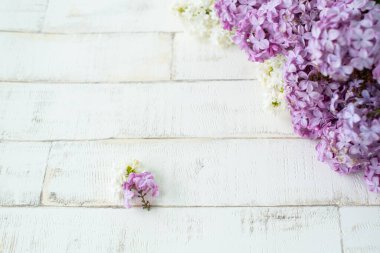 Açık arkaplanda bir ağacı taklit eden parlak, mor bir leylak. Ahşap zemin, dallar ve arka planda duran leylak çiçekleri. Dekor için fotofon