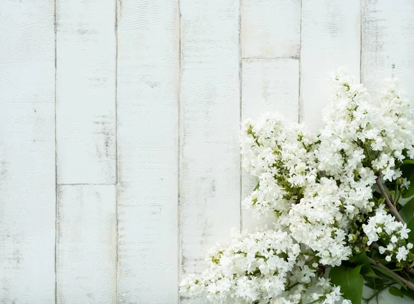 Açık arkaplanda bir ağacı taklit eden parlak, beyaz bir leylak. Ahşap zemin, dallar ve arka planda duran leylak çiçekleri. Dekor için fotofon