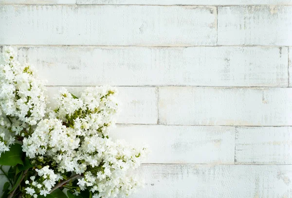 Açık arkaplanda bir ağacı taklit eden parlak, beyaz bir leylak. Ahşap zemin, dallar ve arka planda duran leylak çiçekleri. Dekor için fotofon