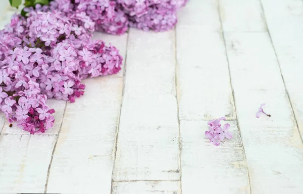 Açık arkaplanda bir ağacı taklit eden parlak, mor bir leylak. Ahşap zemin, dallar ve arka planda duran leylak çiçekleri. Dekor için fotofon