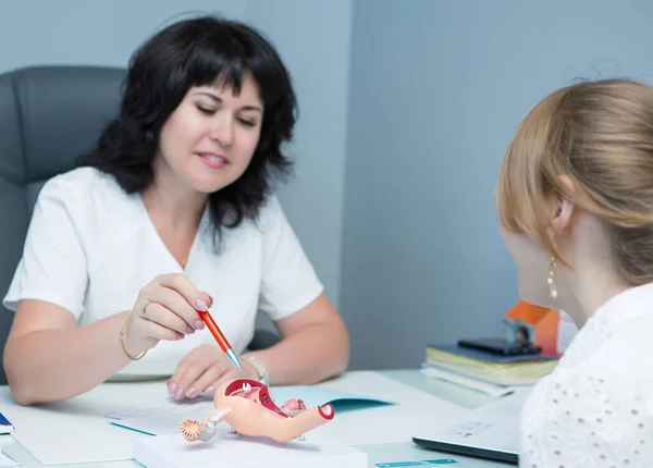 Jinekolog, hastaya kadın üreme sisteminin plastik modelini gösteriyor. Doktora gitmek, kadınların rutin muayenesi. Üreme tıbbı