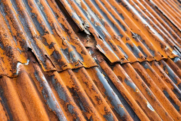 Two layers of very old destroyed rusty roof sheet.