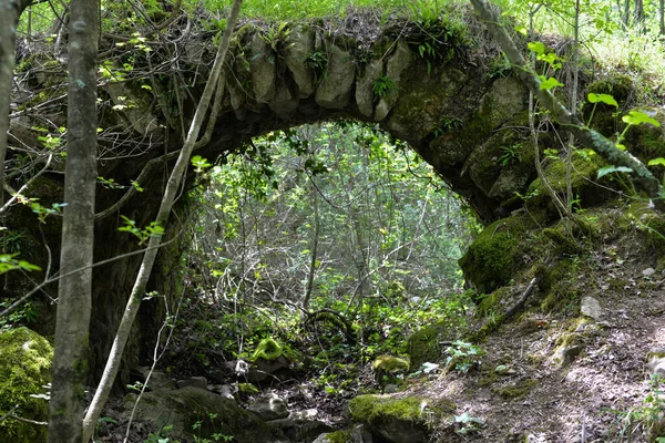 Ανθεκτικό Αρχαίο Πέτρινο Αυλάκι Εγκαταλελειμμένο Χωριό Στο Δάσος — Φωτογραφία Αρχείου