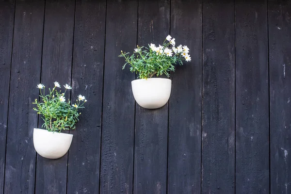 Einzigartige Dekorationsidee Zwei Weiße Pflanztöpfe Mit Blühenden Wthitblumen Hängen Der — Stockfoto