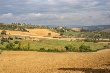 İtalya 'da çok popüler bir yer. Val d 'Orcia Toscana. Sarı toprağı olan boş alanlar, yeşil çayırlar, selvi ağaçları.