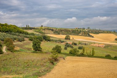 İtalya 'nın Toskana kentindeki boş sonbahar tarlaları ve çayır manzarası. Popüler turizm merkezi