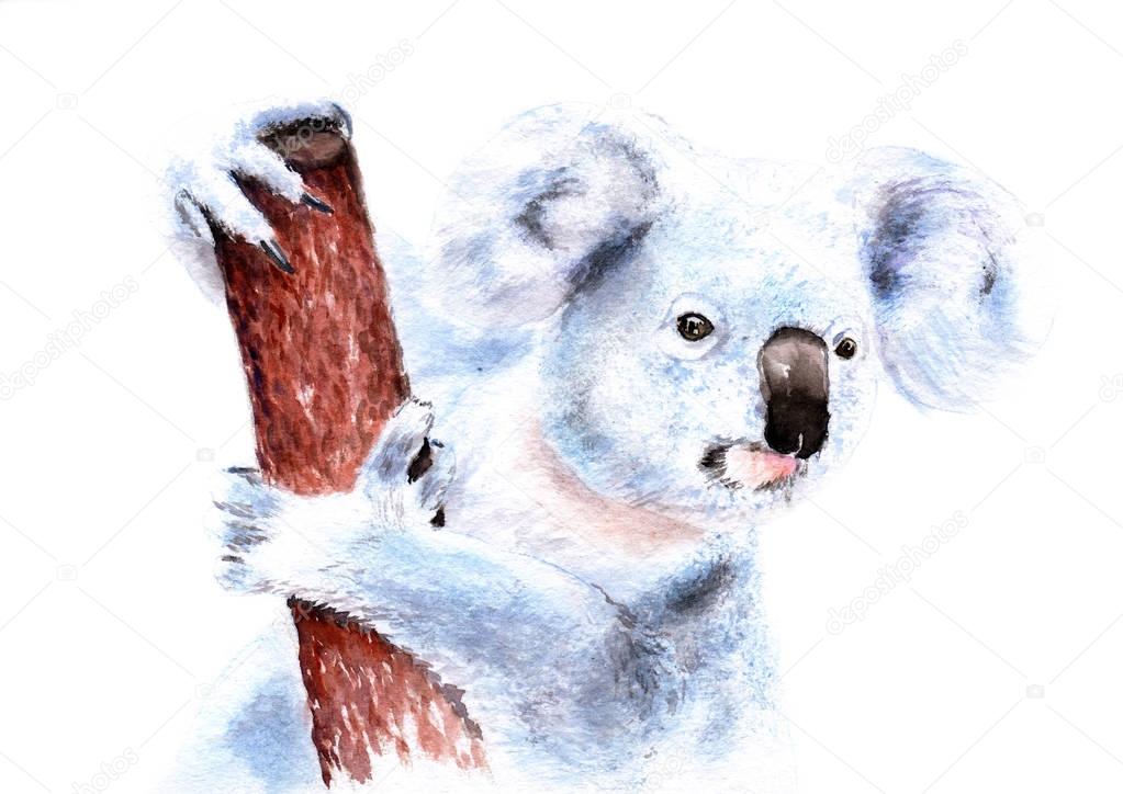 watercolor picture of a koala on a tree, sketch