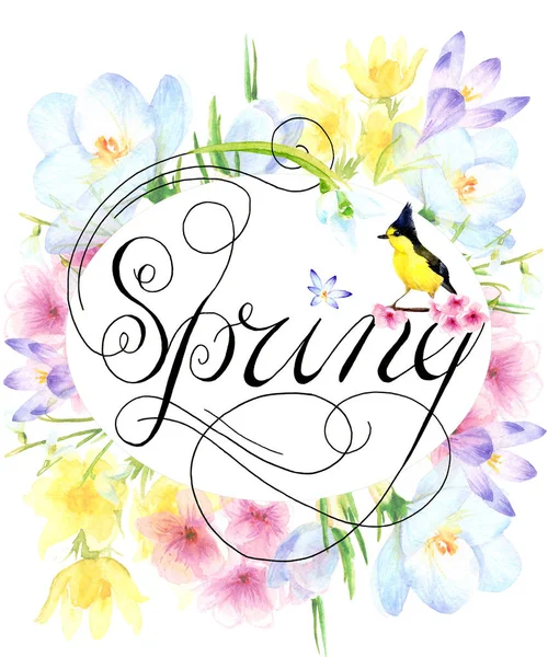 Spring Print Flowers Bird — Stock Photo, Image