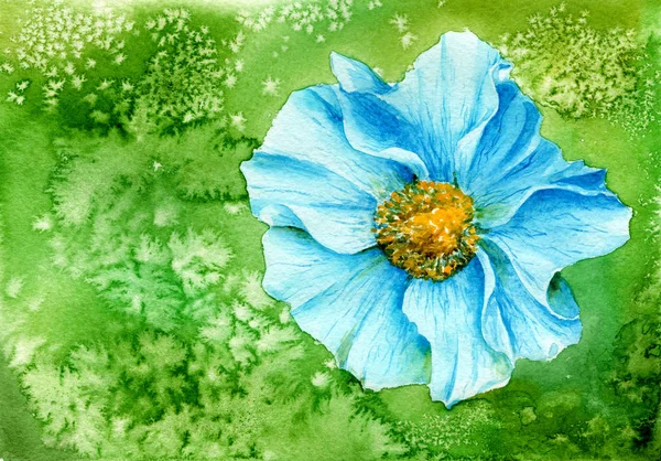 Dessin Aquarelle Une Fleur Bleue Sur Fond Vert — Photo