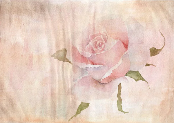 Öreg Papír Akvarell Háttér Rózsa — Stock Fotó