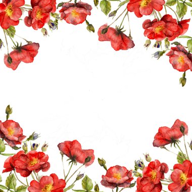 bir gül dalı çizim suluboya