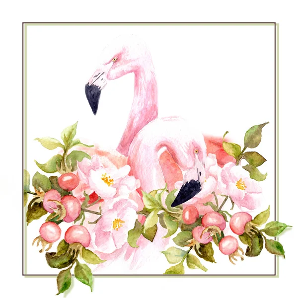 watercolor drawing of flamingos in flowers, for logo, template, frame