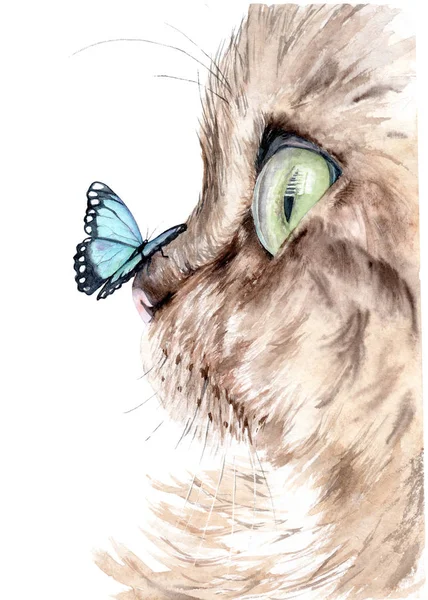 Acuarela dibujo de un gato con una mariposa en la nariz — Foto de Stock