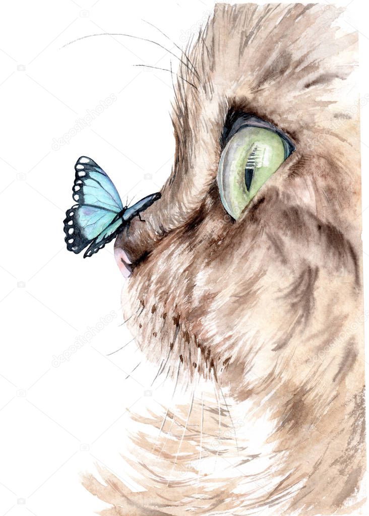watercolor drawing of a cat with a butterfly on his nose
