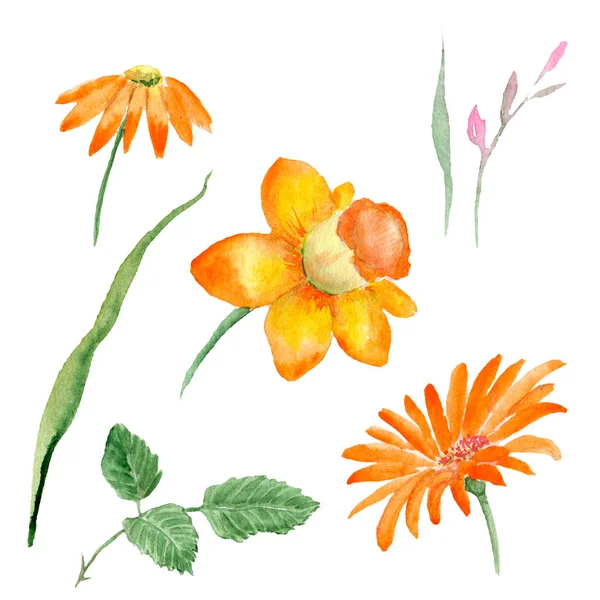 Grupo aquarela de flores de primavera e folhas — Fotografia de Stock